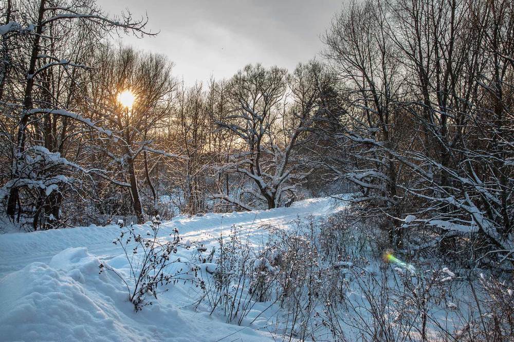 Photograph by  Александр