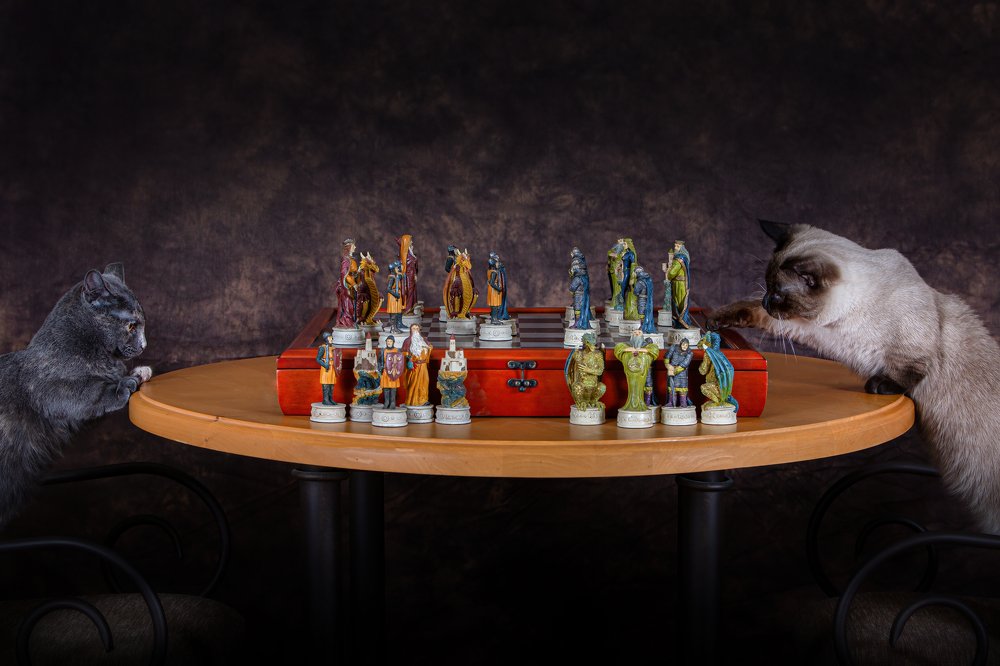 Kitty Chess!