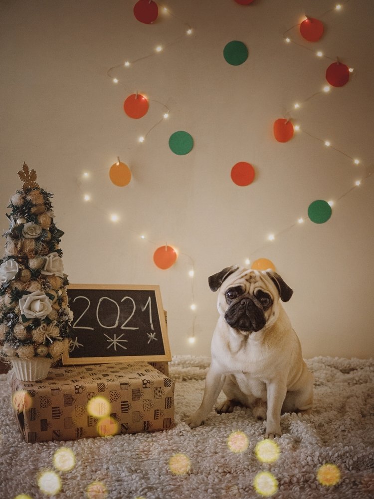 Photograph by Elena Yilmaz