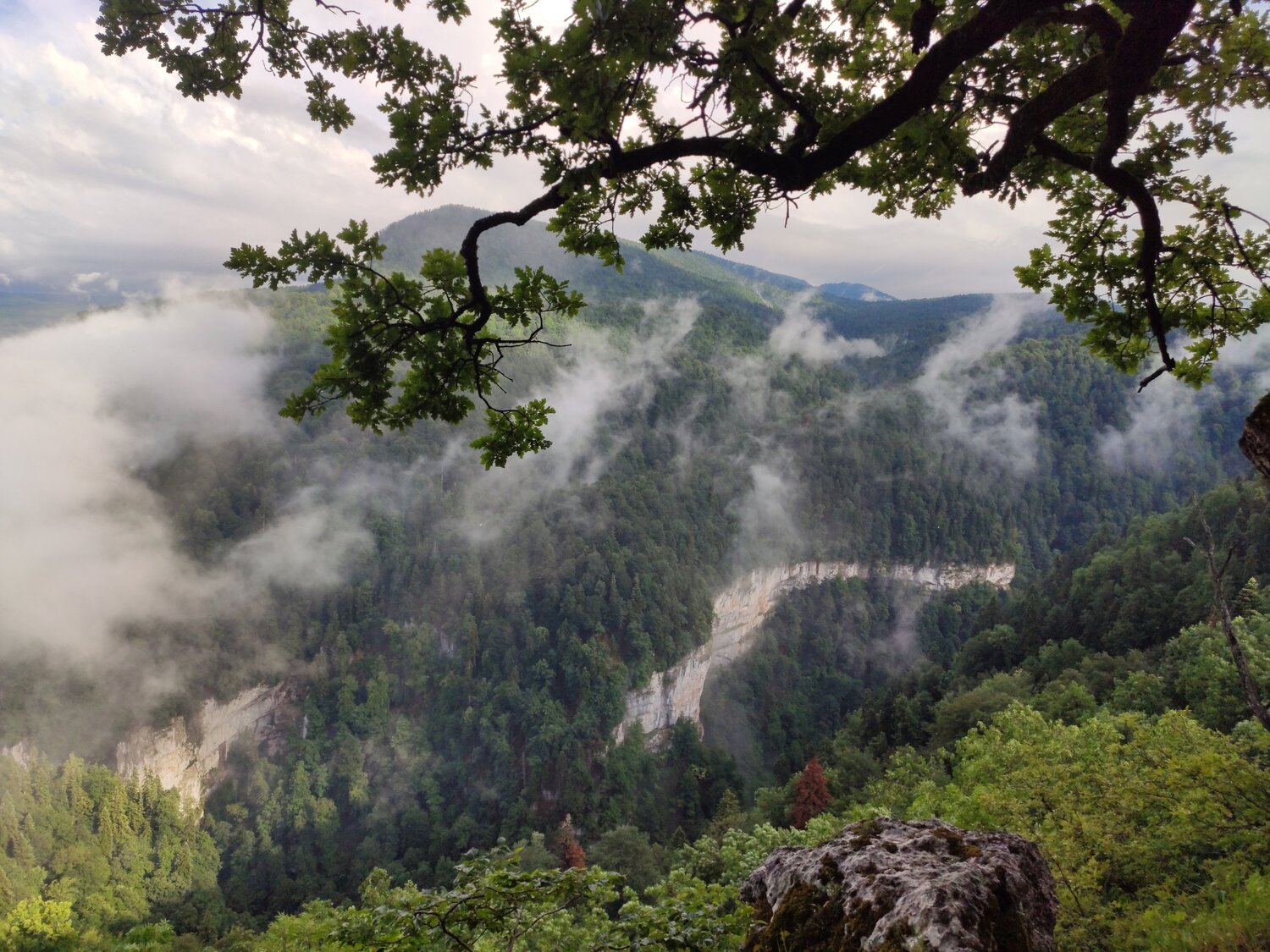 Photo #5468168