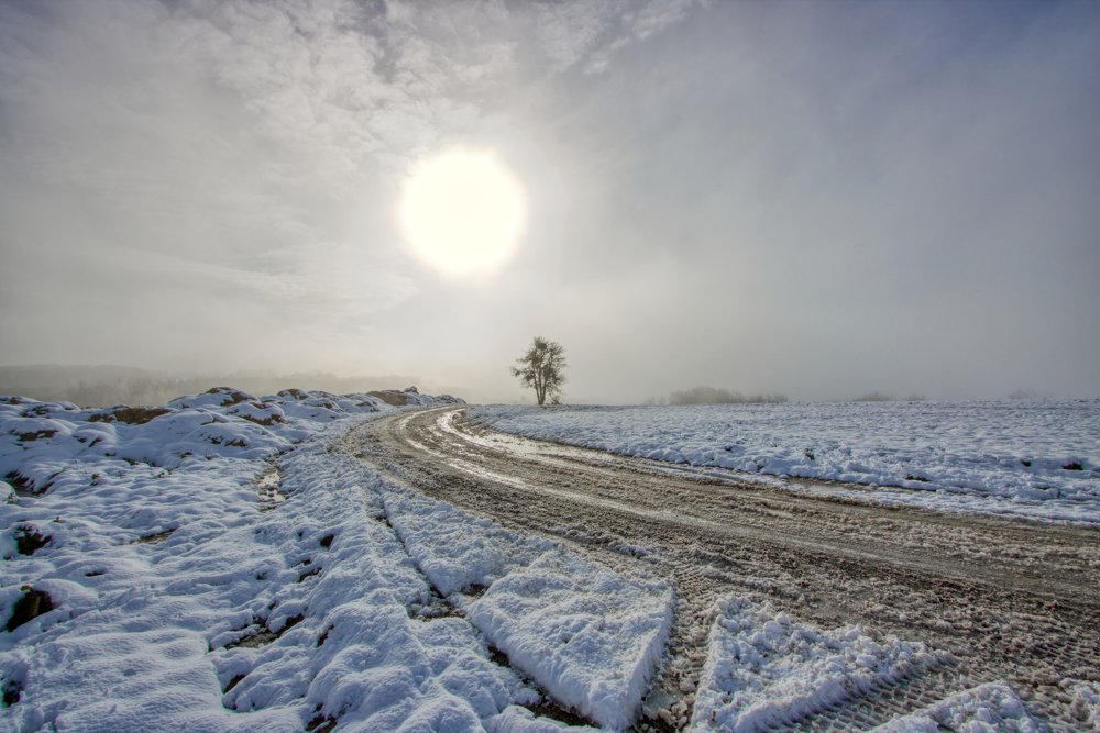 Photograph by Brigitte B