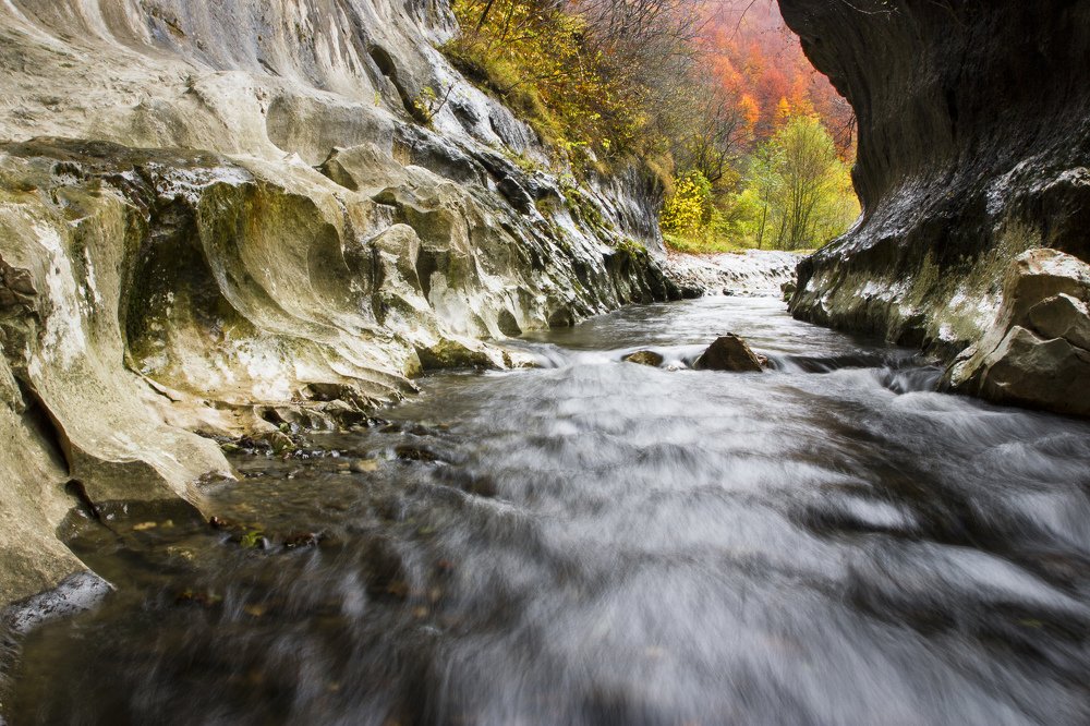 Photograph by Dragos Nedelcu