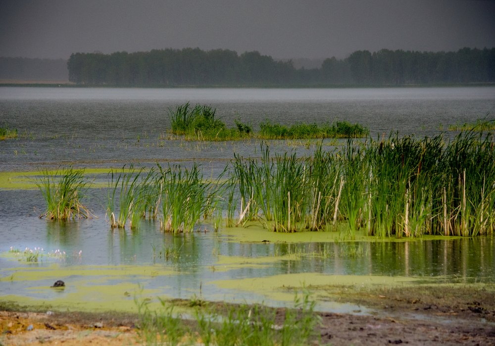 По дороге на Байкал
