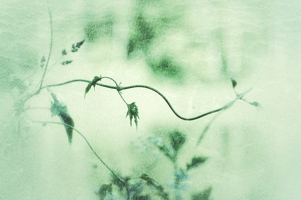 Photograph by Светлана Лехмус