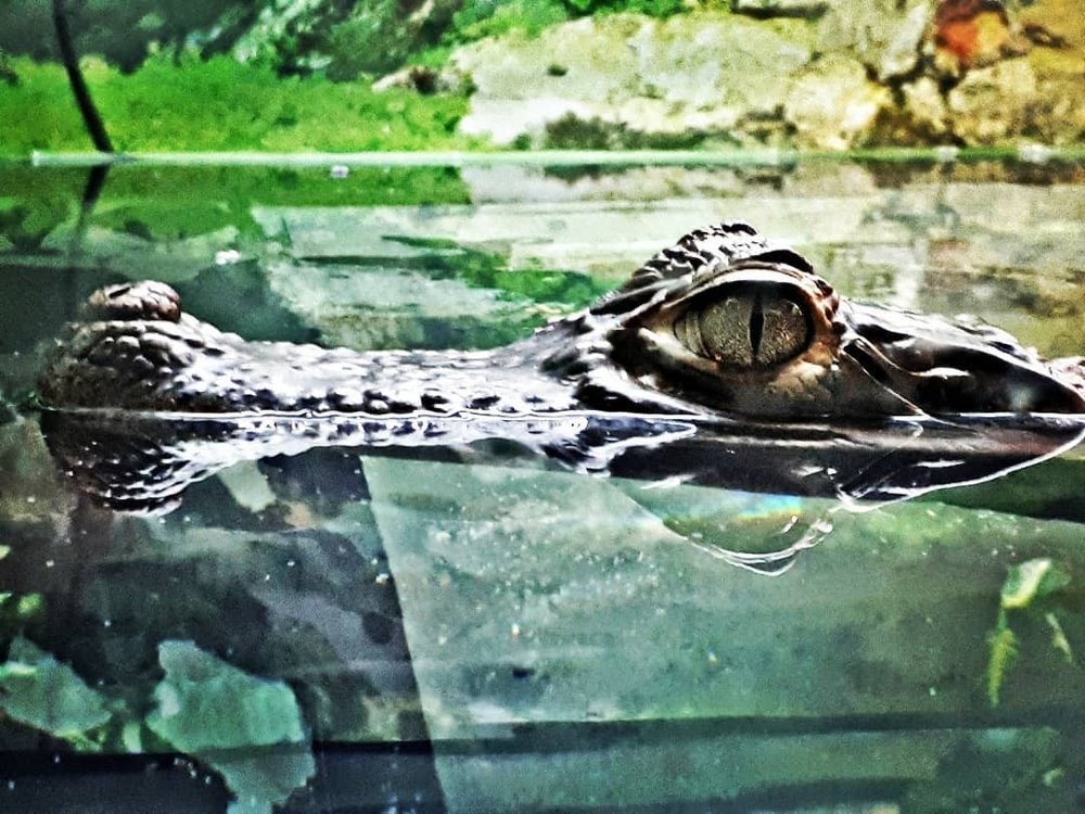 Фотография автора Владимир Строченков