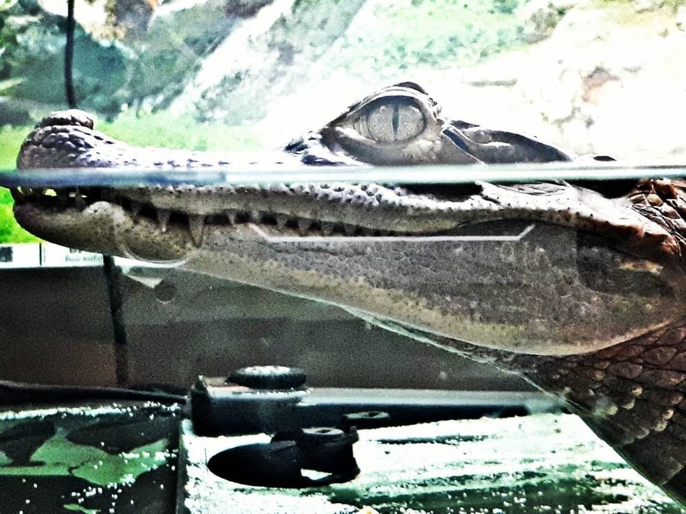 Фотография автора Владимир Строченков