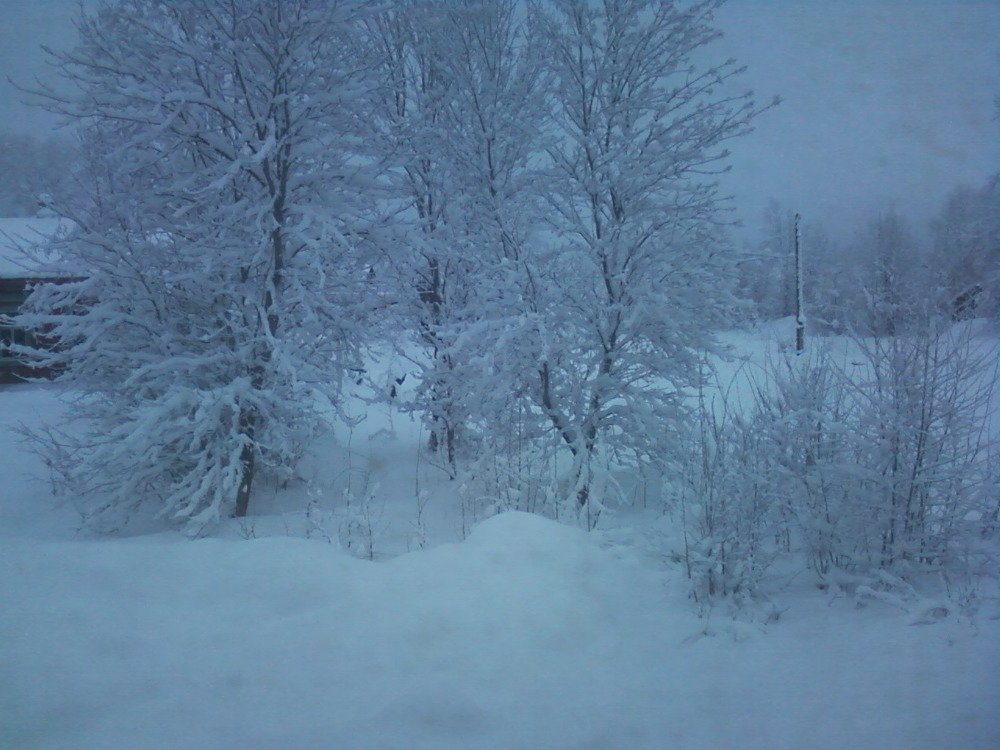 Photograph by ирина токарева