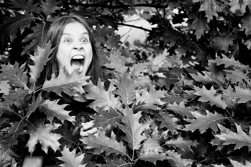 Photograph by Александра Стрелец