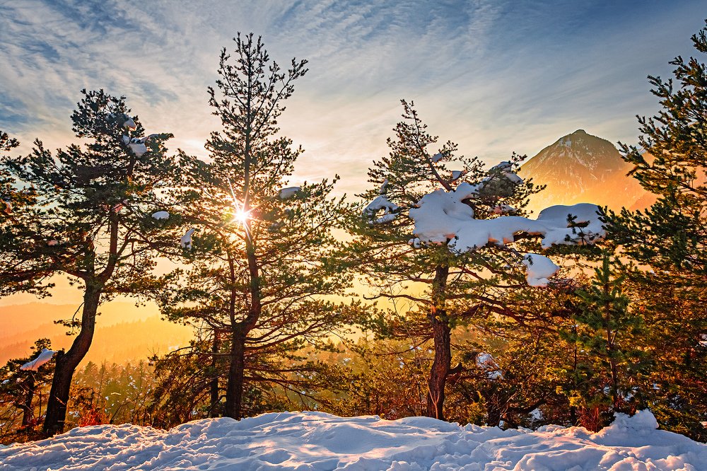 Photograph by Svetlana Soboleva