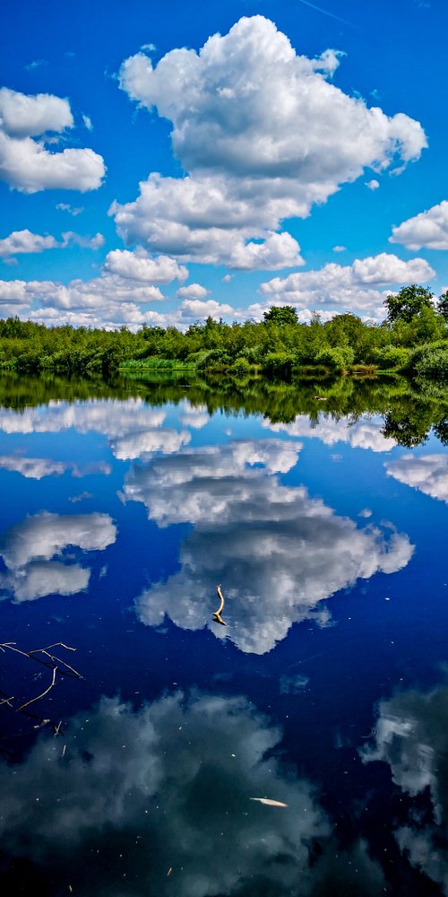 Mirror by Nature