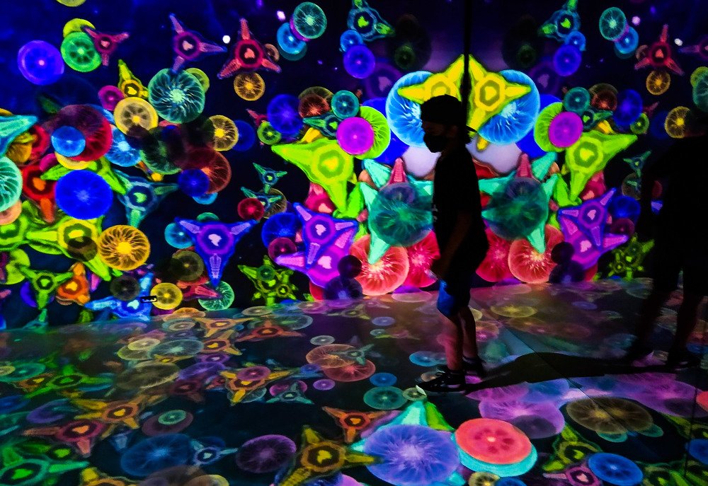 Photograph by Tatiana Barthem