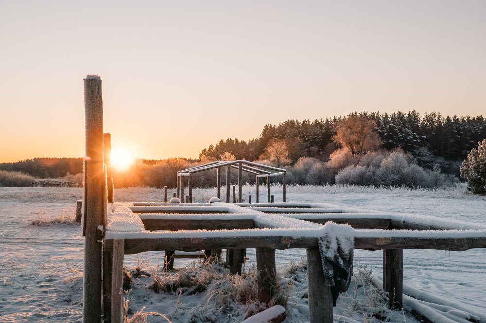 Photograph by Екатерина Аксёнова