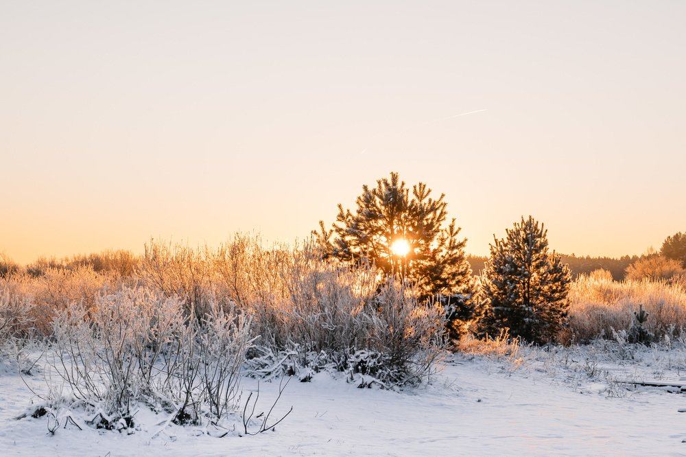 Photograph by Екатерина Аксёнова