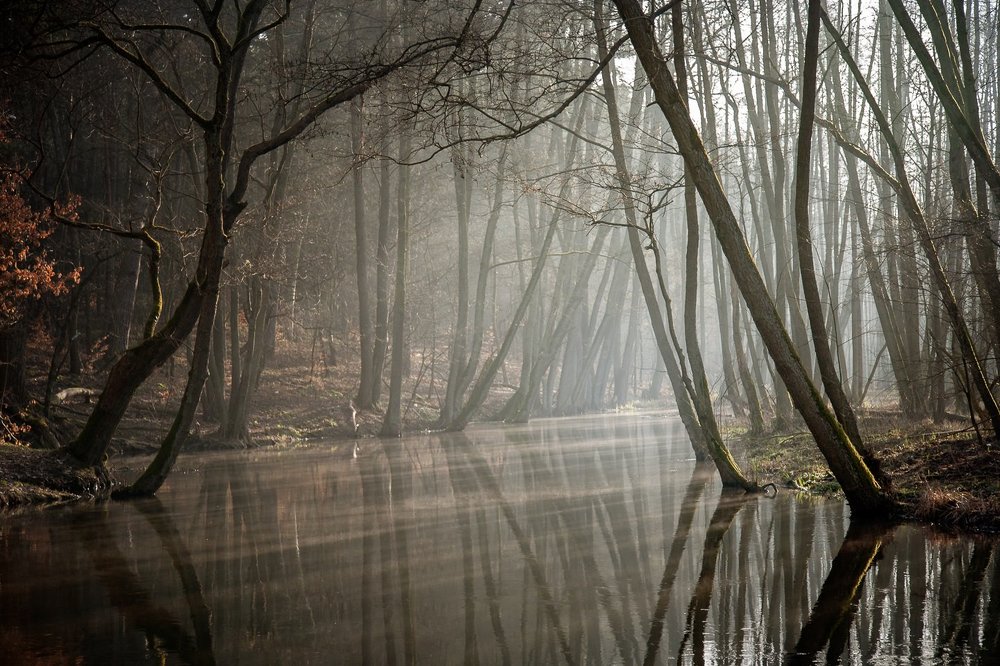 Photograph by  MiroM