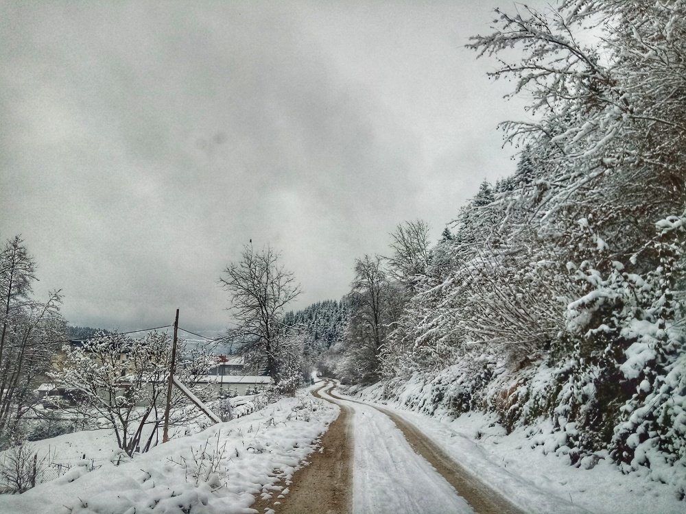 Photograph by Ajdina Dogan