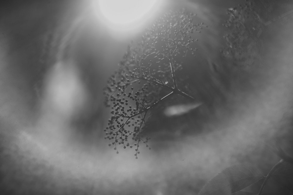 Photograph by Petr Černohorský