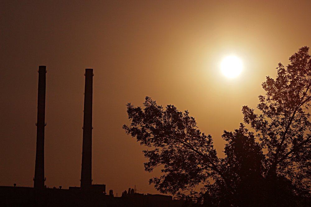 Photograph by Мария Попова