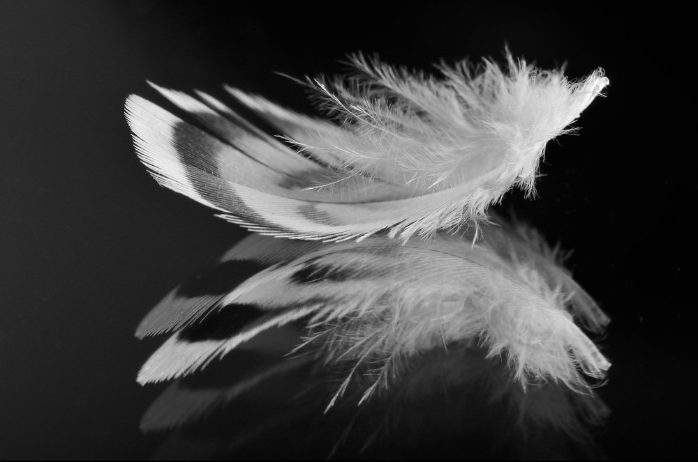 Photograph by Petr Černohorský