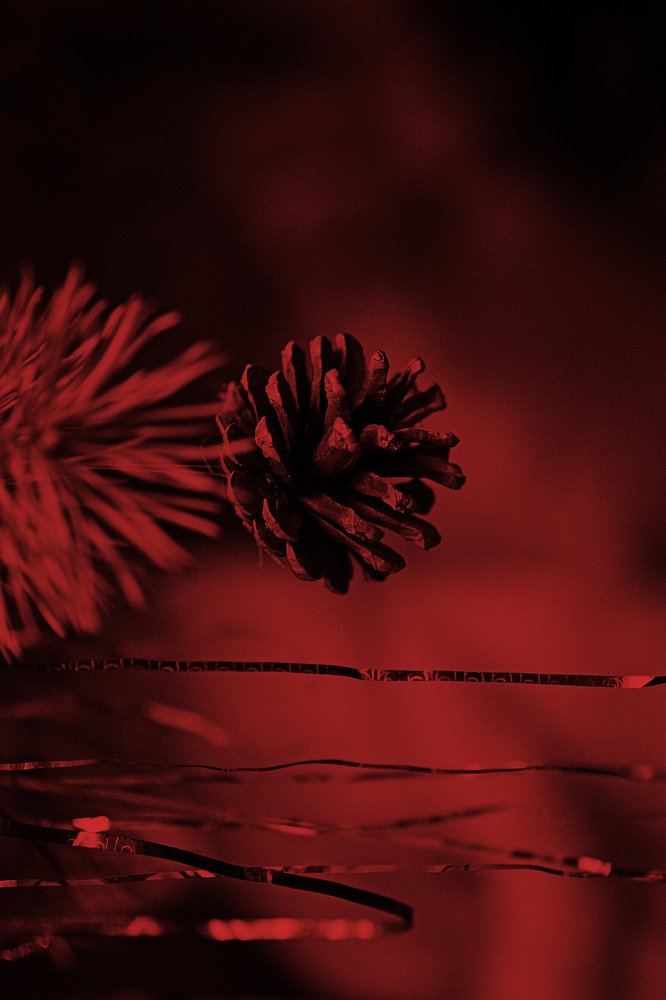 Решает ракурс!