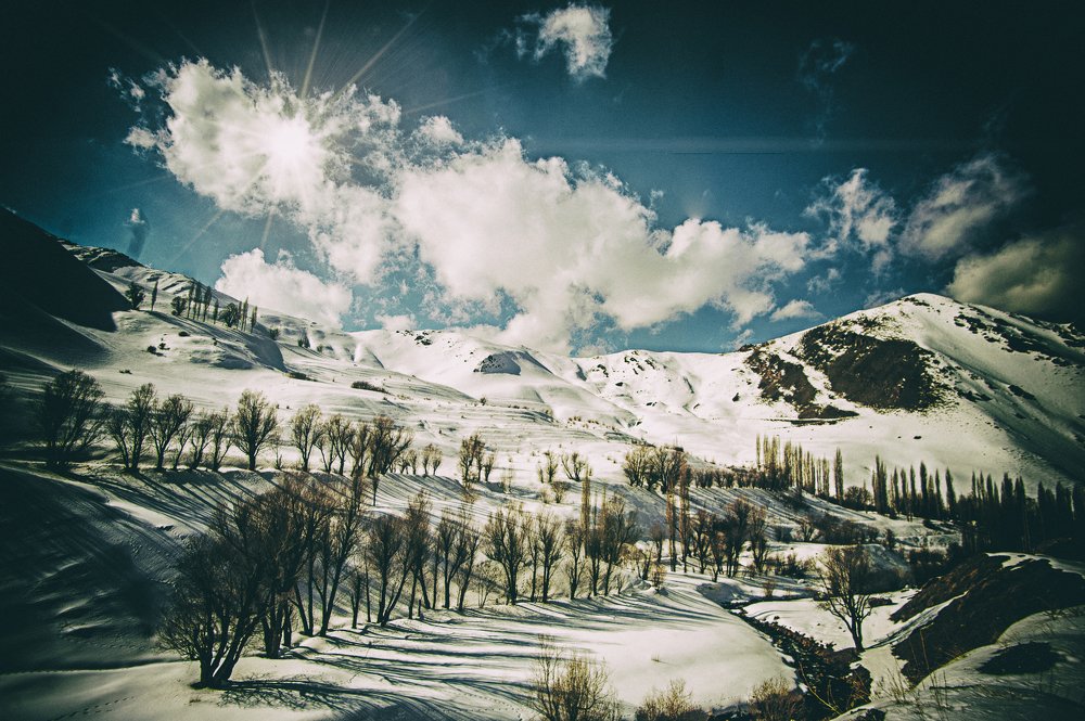 Photograph by DAMOUN POURNEMATI