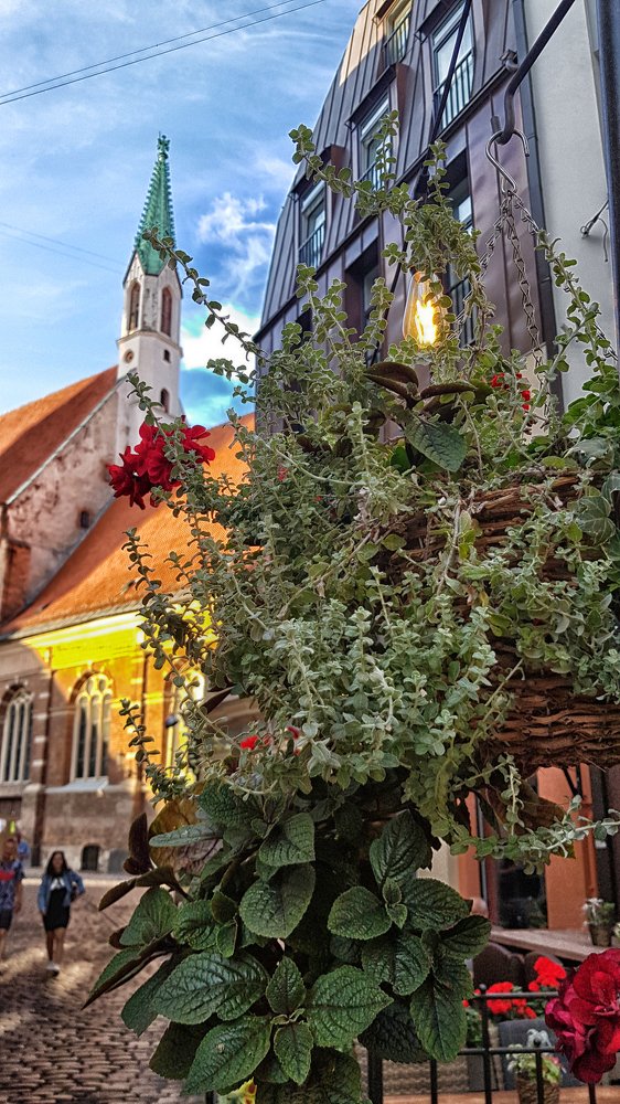 Photograph by Анна Кривицкая