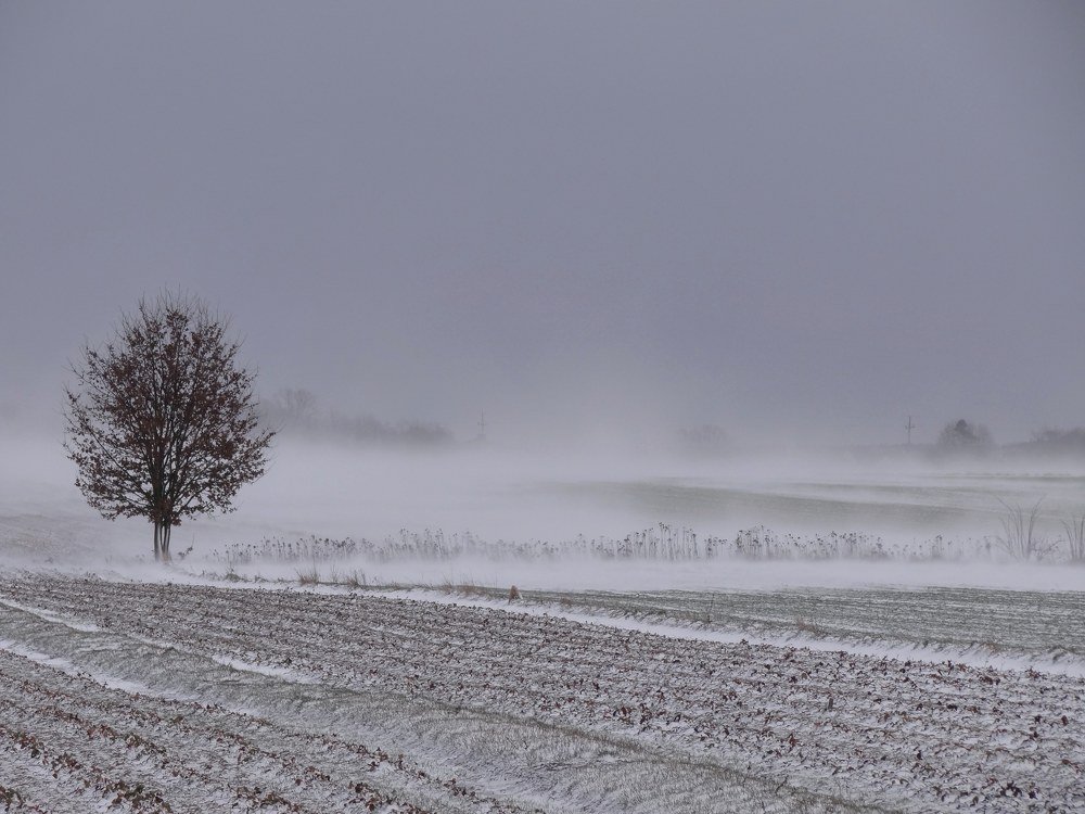 Фотография автора Iwona Moskalik