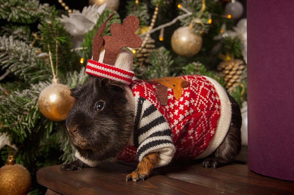 Photograph by Инга Стрижаченко