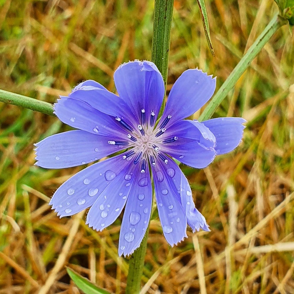 Photograph by Mihaela Ciobanu