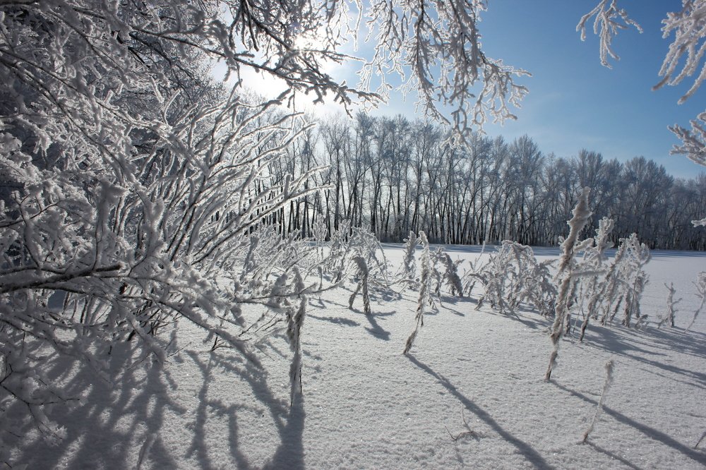 Photograph by Юлия Кривоносова