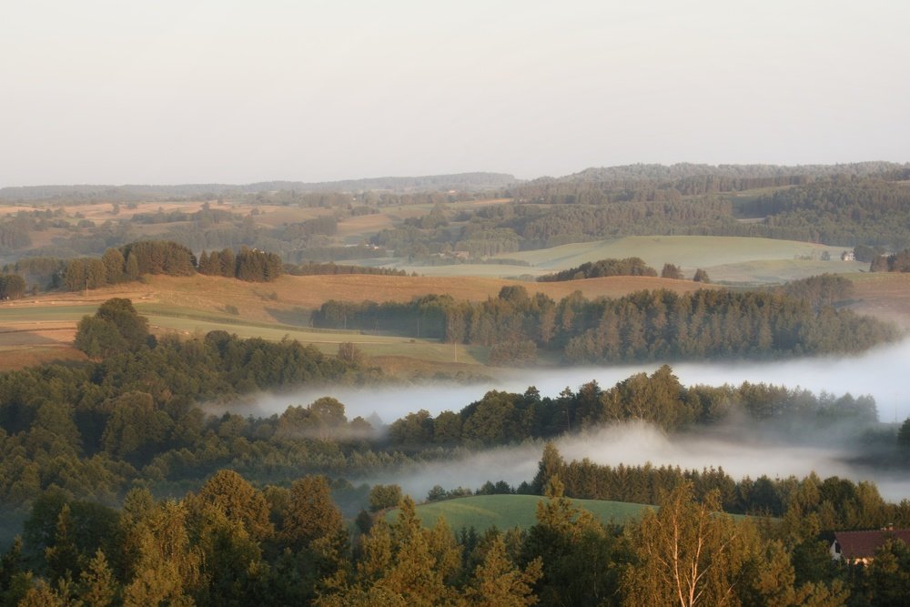 Фотография автора Iwona Moskalik