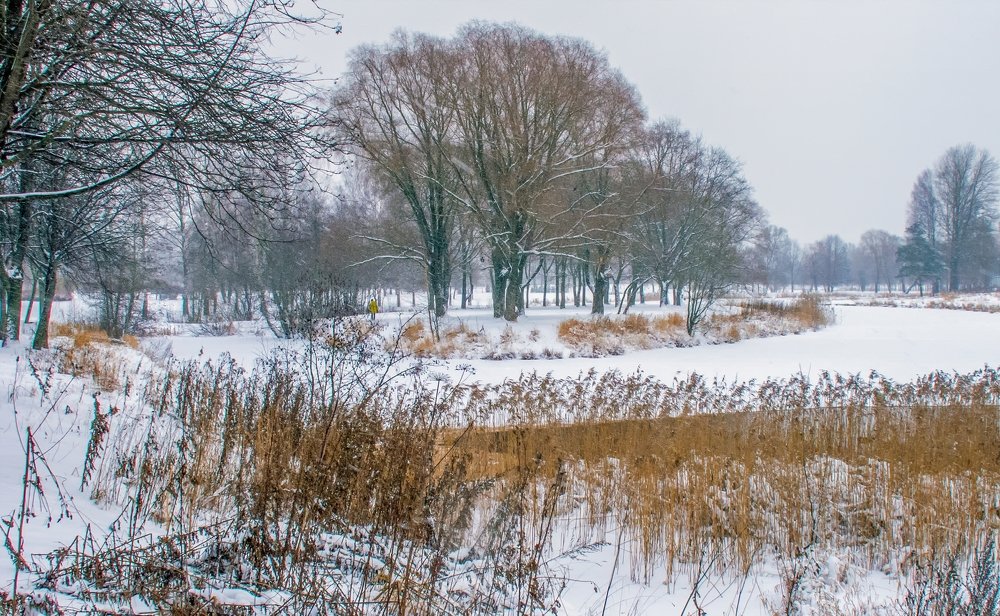 Муринский оазис