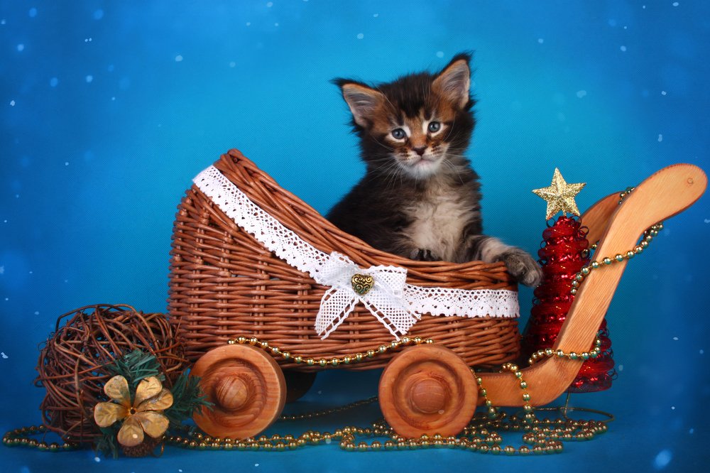 Photograph by Инга Стрижаченко