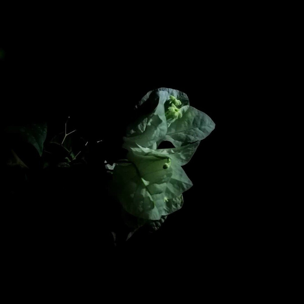 Under the solar lamp post