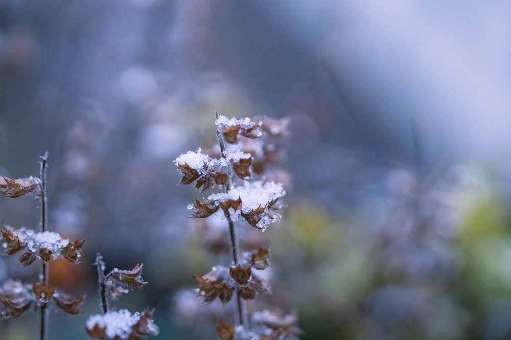 Photograph by Алла