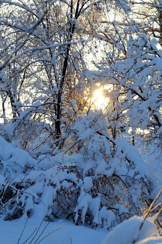 Photograph by Юрий Варюхин