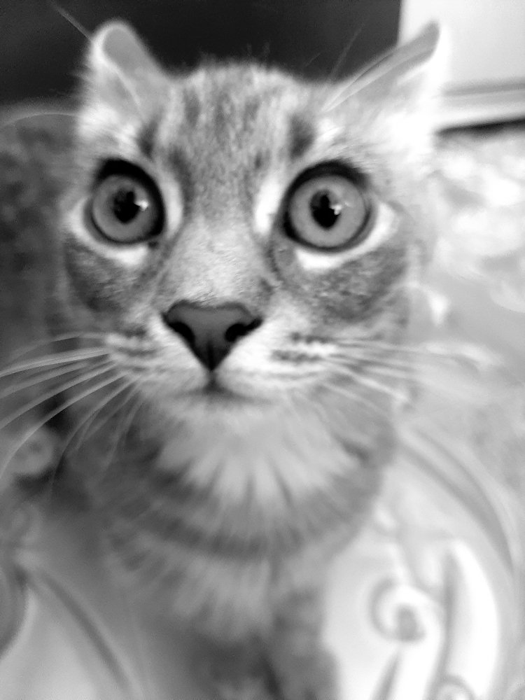 Photograph by Оксана Корепанова