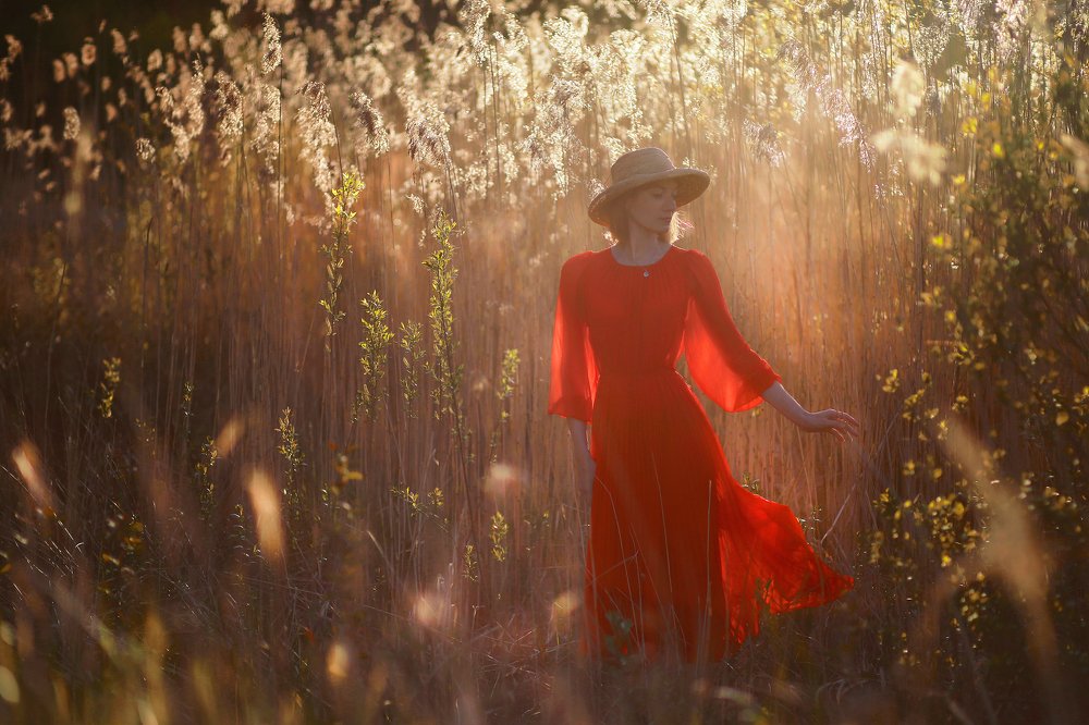 Photograph by Постонен Екатерина