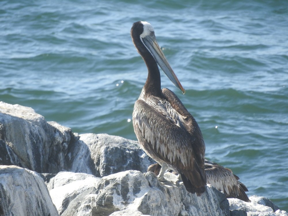 Photograph by Cristina Bosio Ferrer