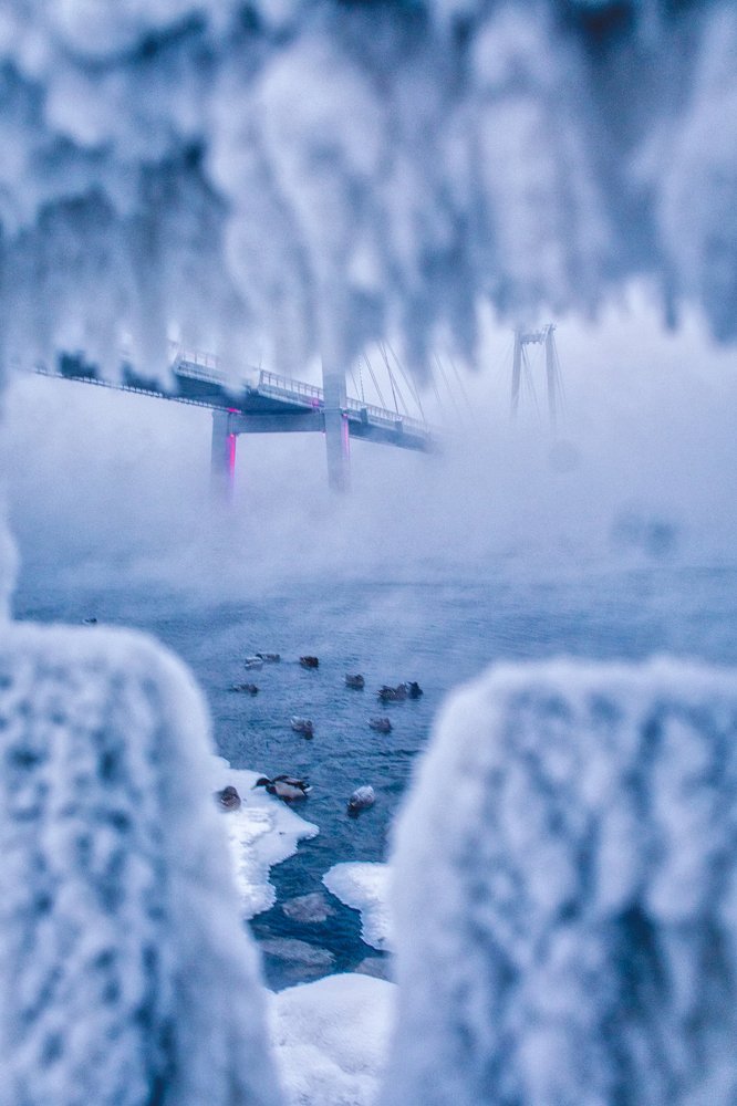 Photograph by Александр Пургин