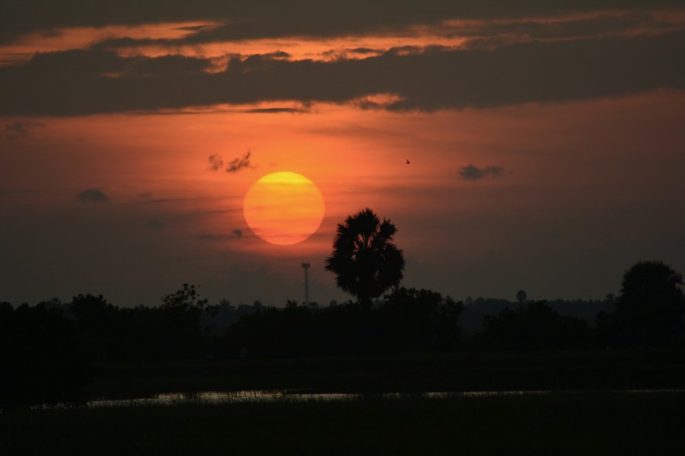 Photograph by Bhavana Sivayokan