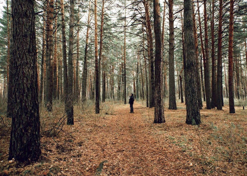 Photograph by Айман Дайрабаева