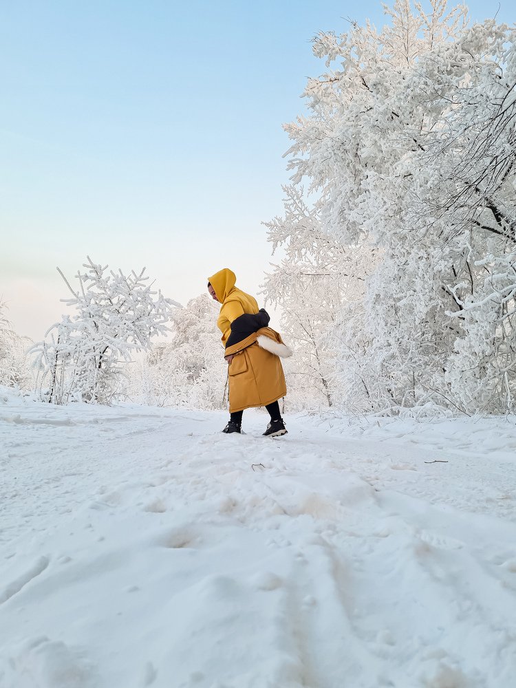 Краски зимы