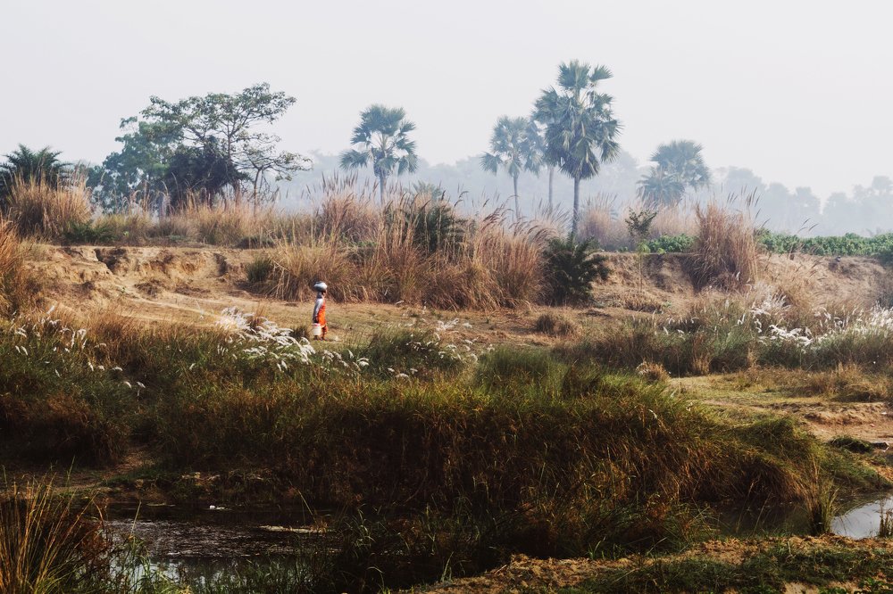 Life in the Land of Red Soil