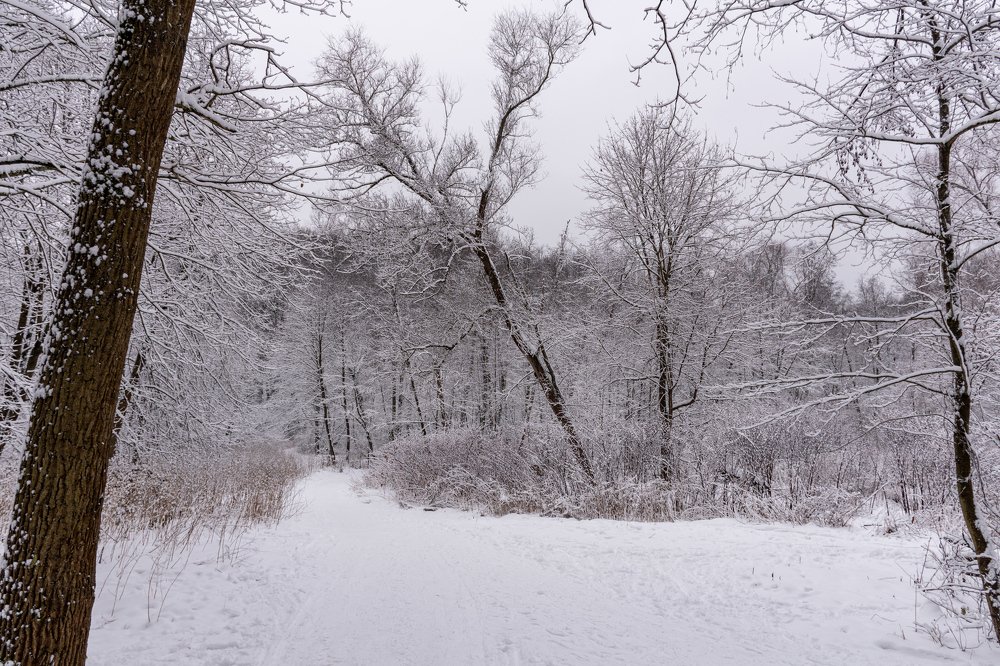 Photograph by Валерий Петухов