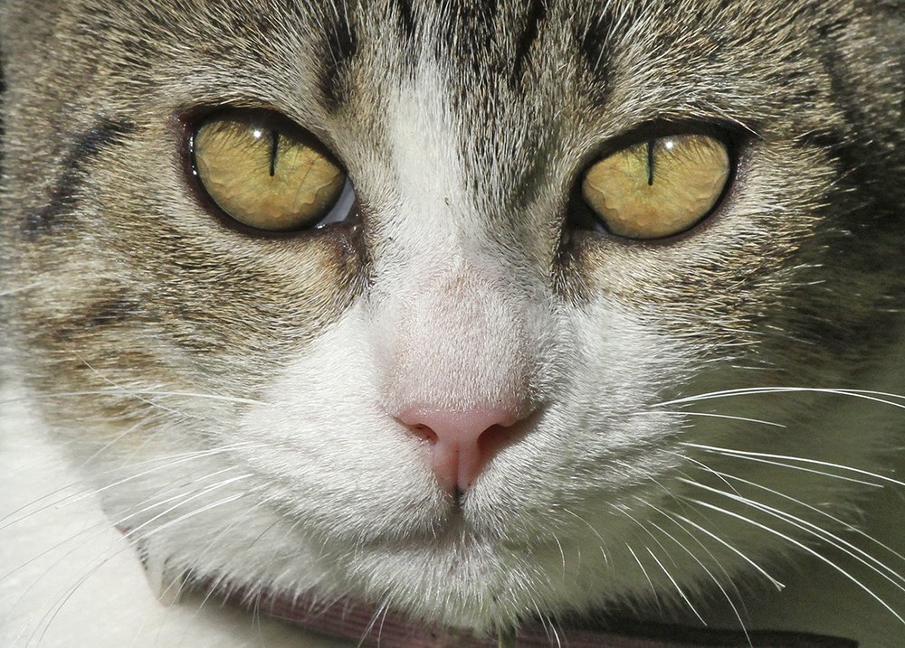 Фотография автора Marina