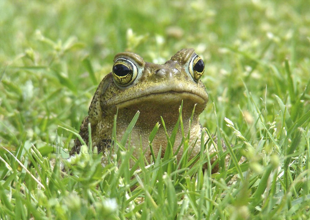 Фотография автора Marina