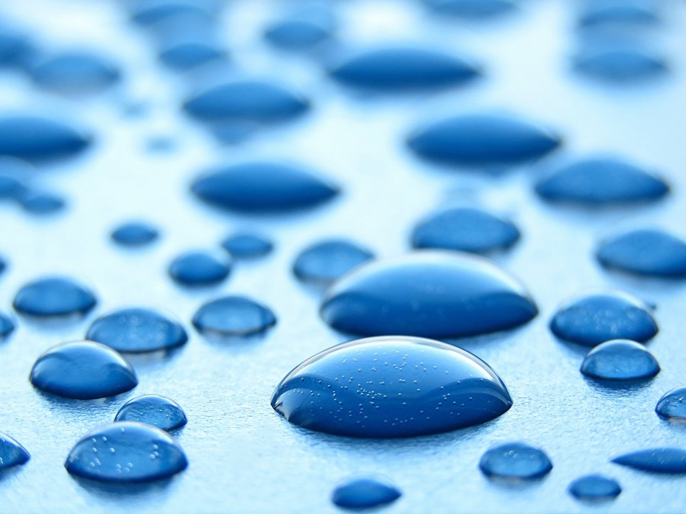 Капельная Жизнь