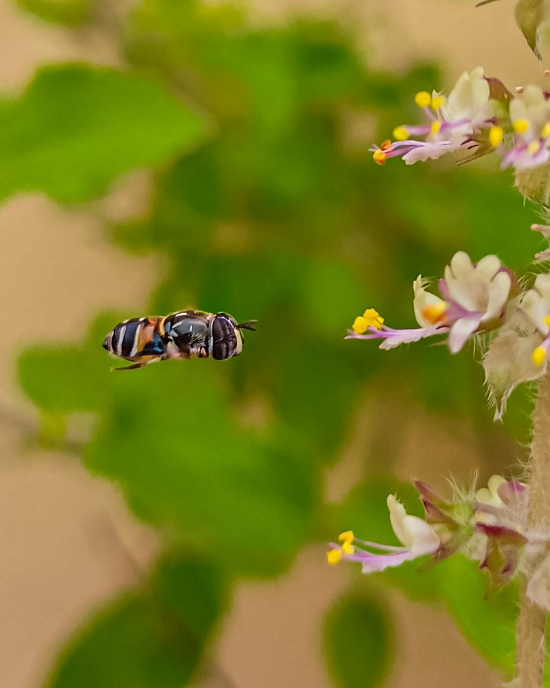 Photograph by Desikan Venkataraghavan