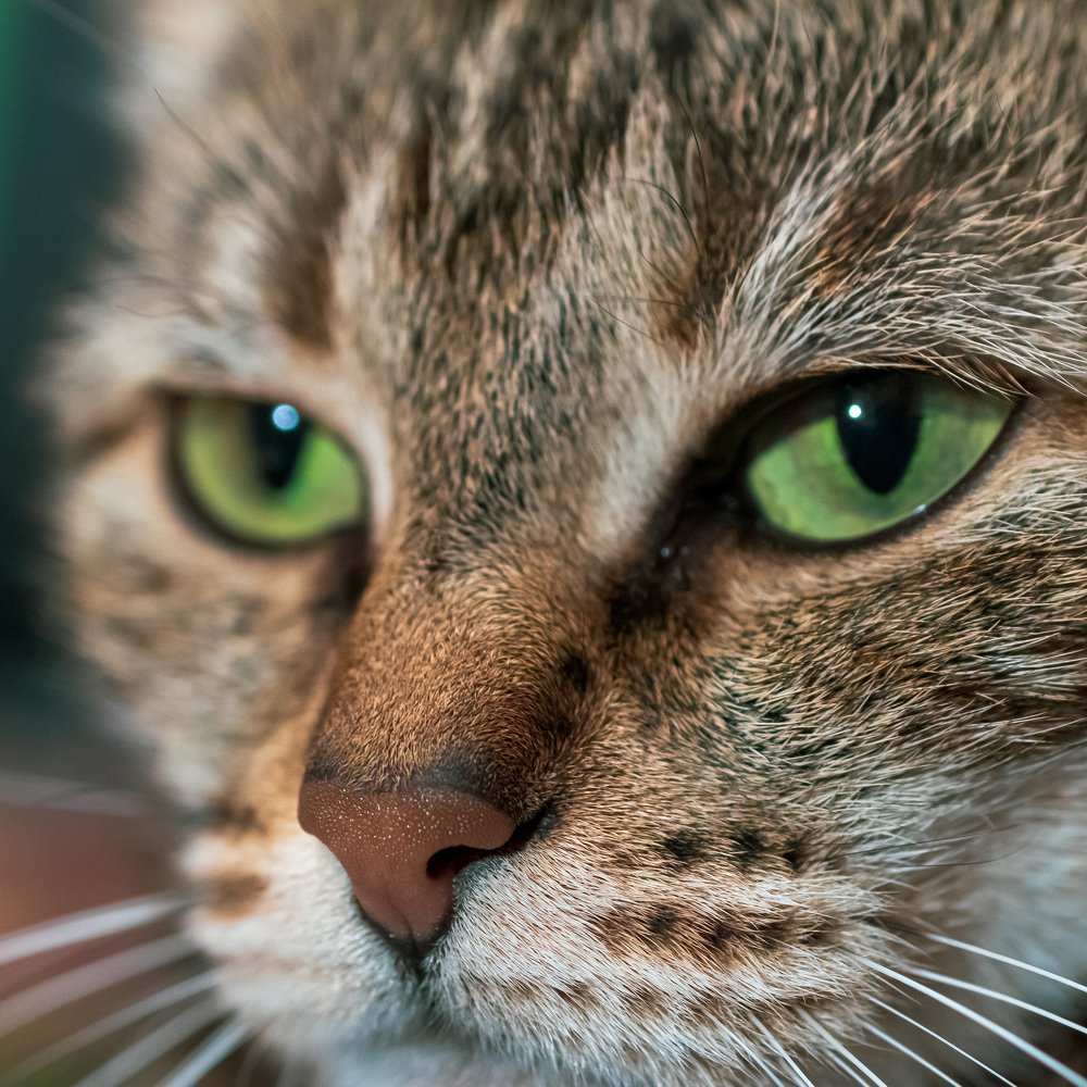 Photograph by Валерий Петухов