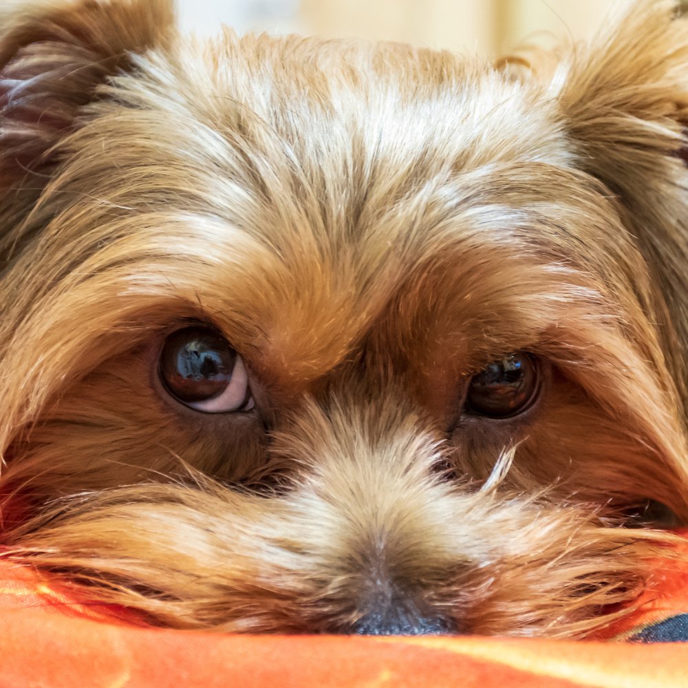 Photograph by Валерий Петухов